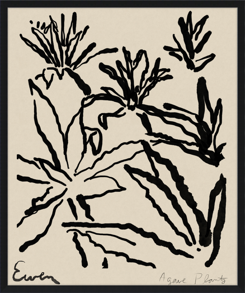 Framed Print // Agave Plants
