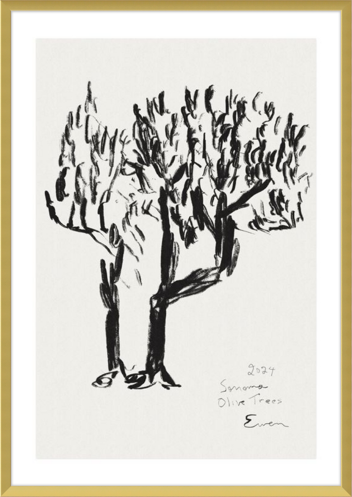 Giclée Print // Olive Trees, Sonoma, 2024