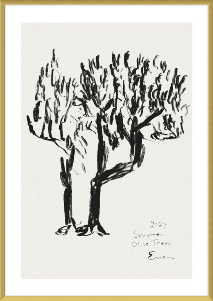 Giclée Print // Olive Trees, Sonoma, 2024