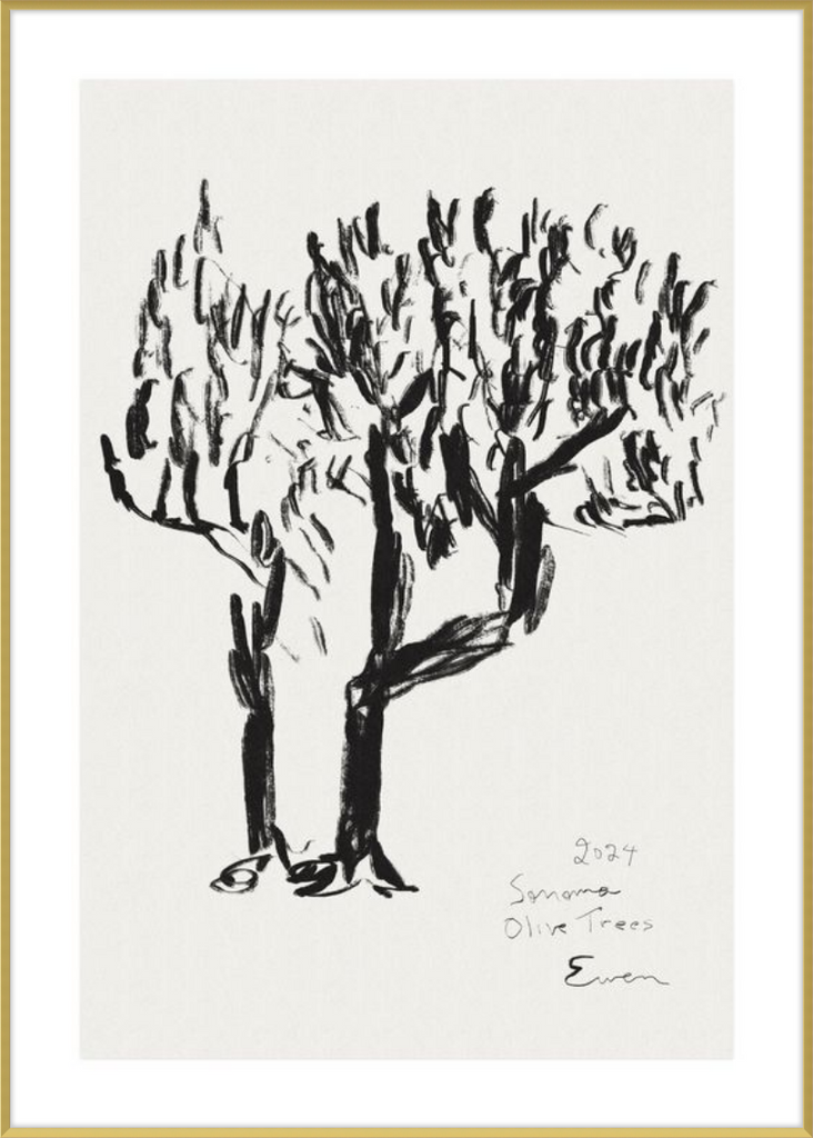 Giclée Print // Olive Trees, Sonoma, 2024