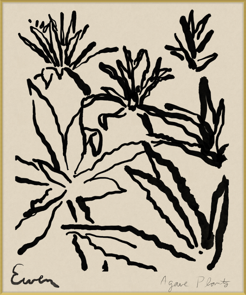Framed Print // Agave Plants