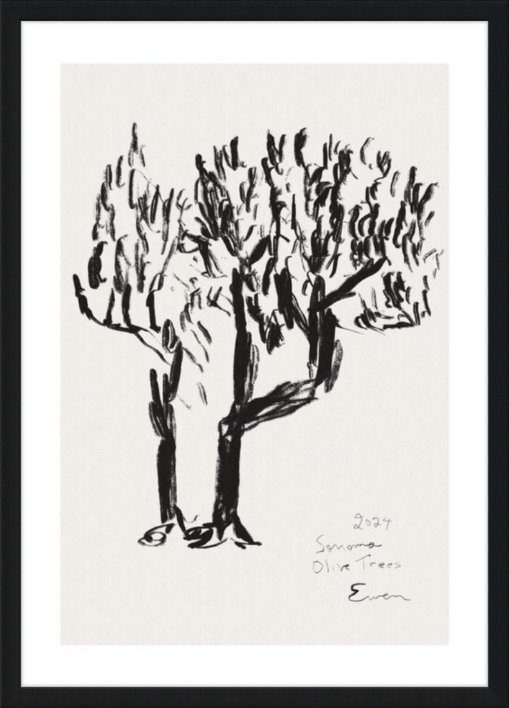 Giclée Print // Olive Trees, Sonoma, 2024