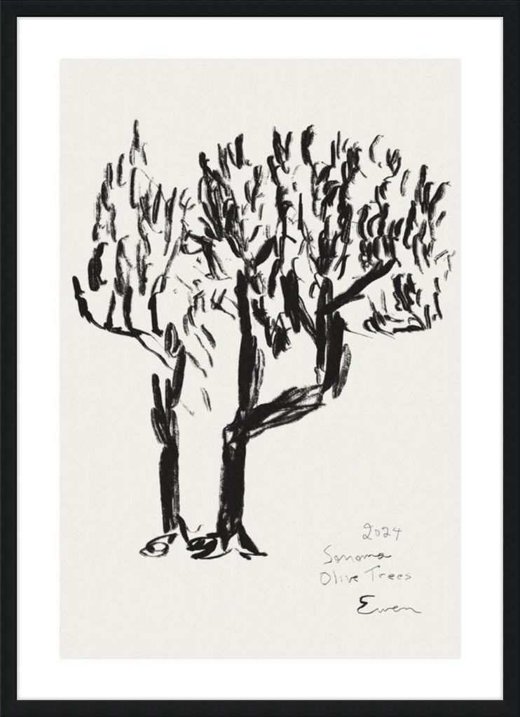 Giclée Print // Olive Trees, Sonoma, 2024