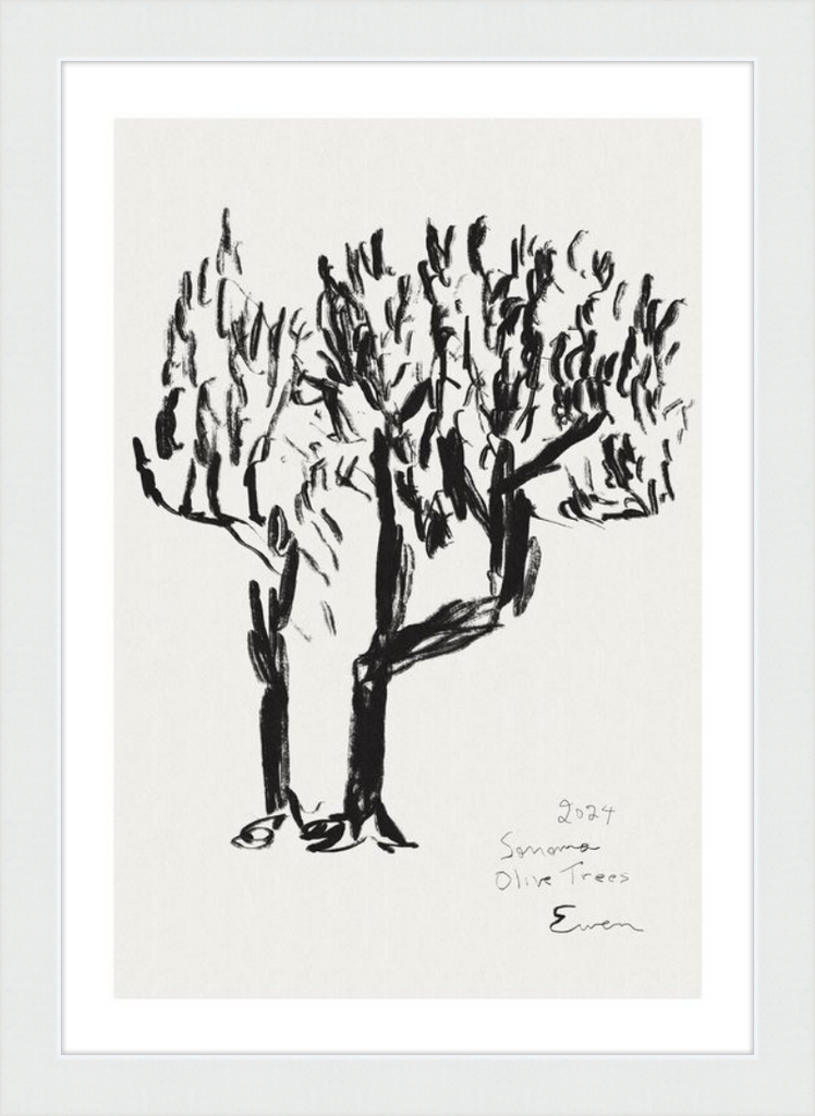 Giclée Print // Olive Trees, Sonoma, 2024