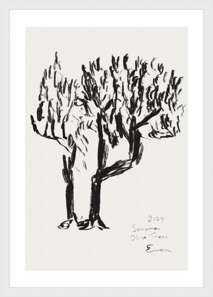 Giclée Print // Olive Trees, Sonoma, 2024