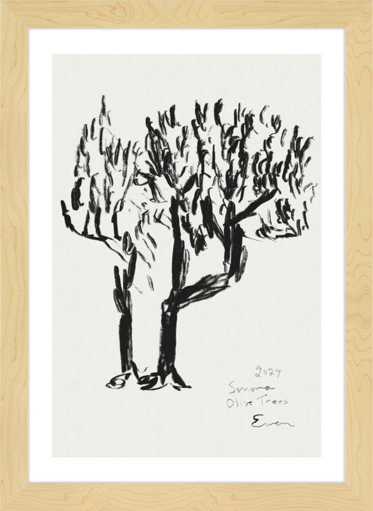 Giclée Print // Olive Trees, Sonoma, 2024