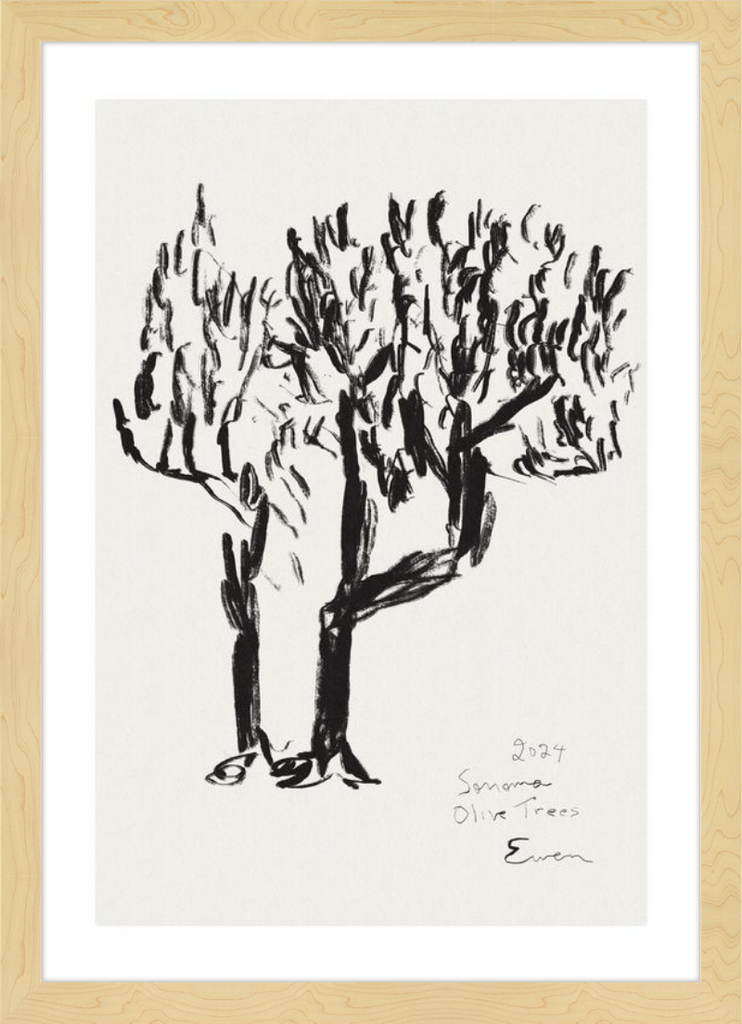 Giclée Print // Olive Trees, Sonoma, 2024