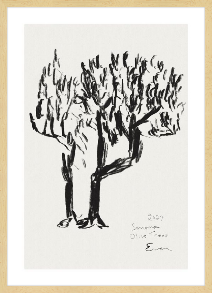 Giclée Print // Olive Trees, Sonoma, 2024