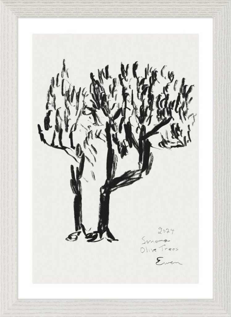 Giclée Print // Olive Trees, Sonoma, 2024