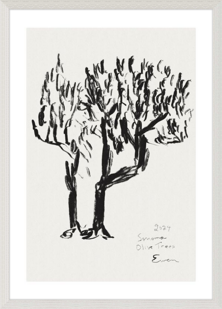 Giclée Print // Olive Trees, Sonoma, 2024