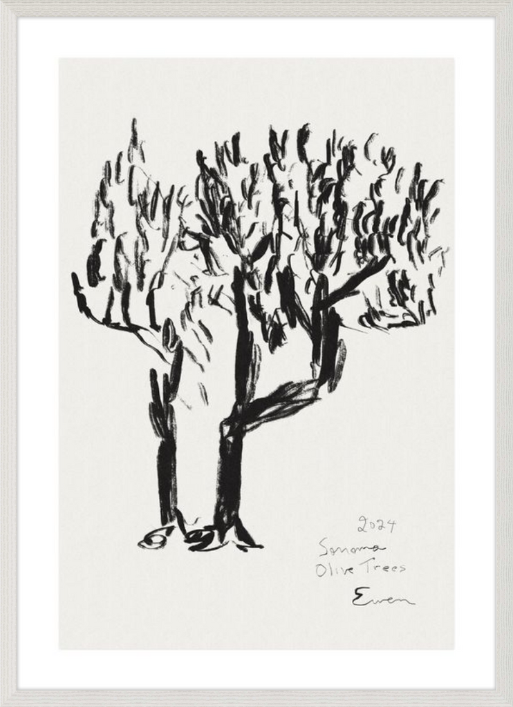 Giclée Print // Olive Trees, Sonoma, 2024