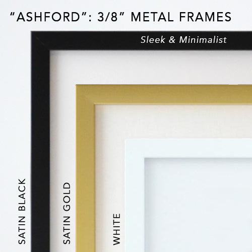 Giclée Print // Zebra (Facing Left)