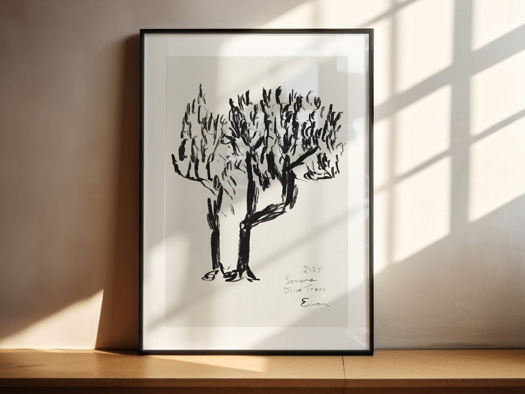 Giclée Print // Olive Trees, Sonoma, 2024