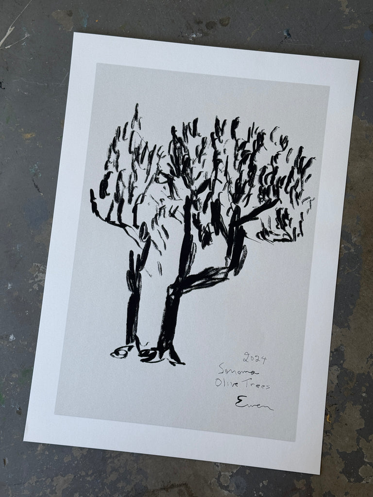 Giclée Print // Olive Trees, Sonoma, 2024