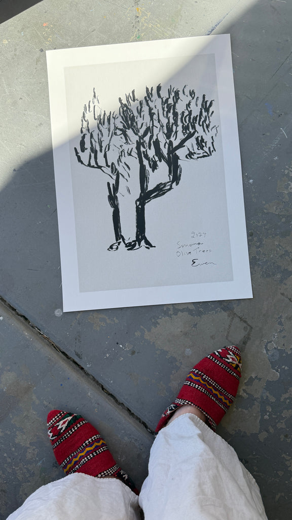 Giclée Print // Olive Trees, Sonoma, 2024