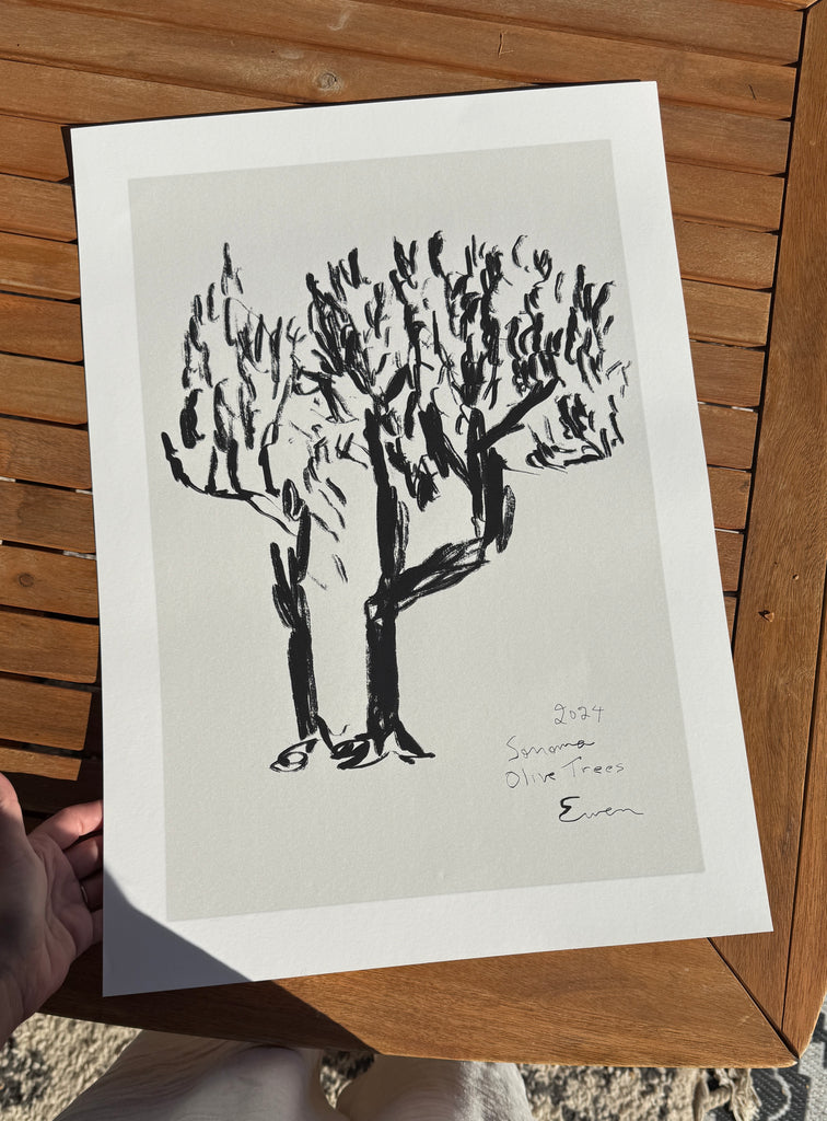 Giclée Print // Olive Trees, Sonoma, 2024