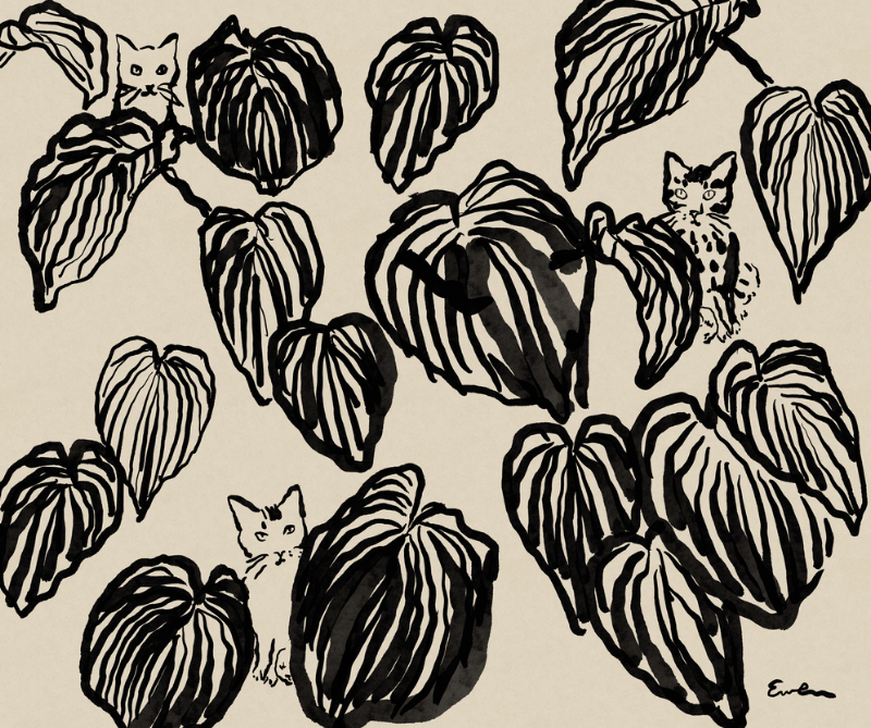 Giclée Print // Three Cats