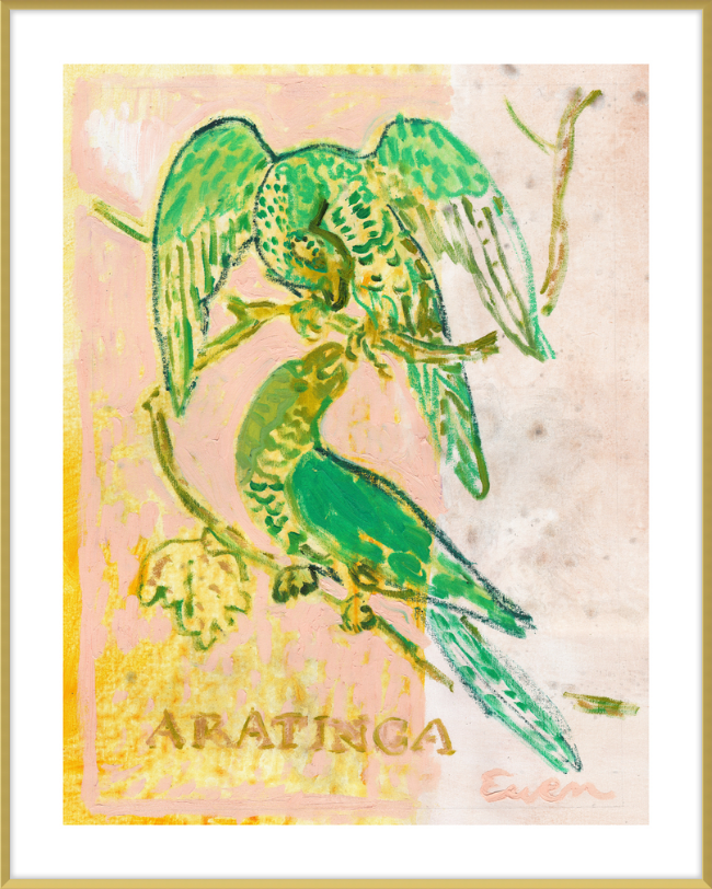 Framed Print // Aratinga (Sun Parakeets)