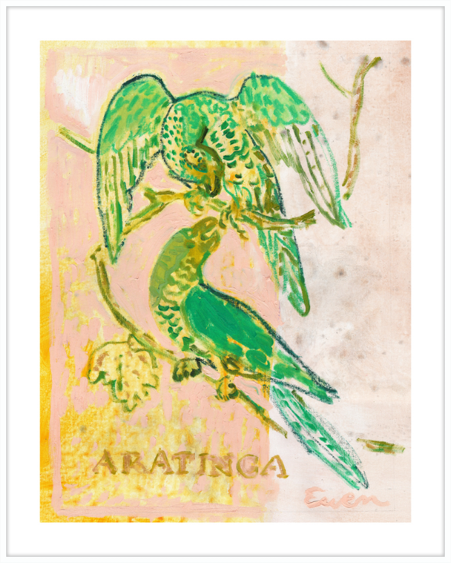 Framed Print // Aratinga (Sun Parakeets)
