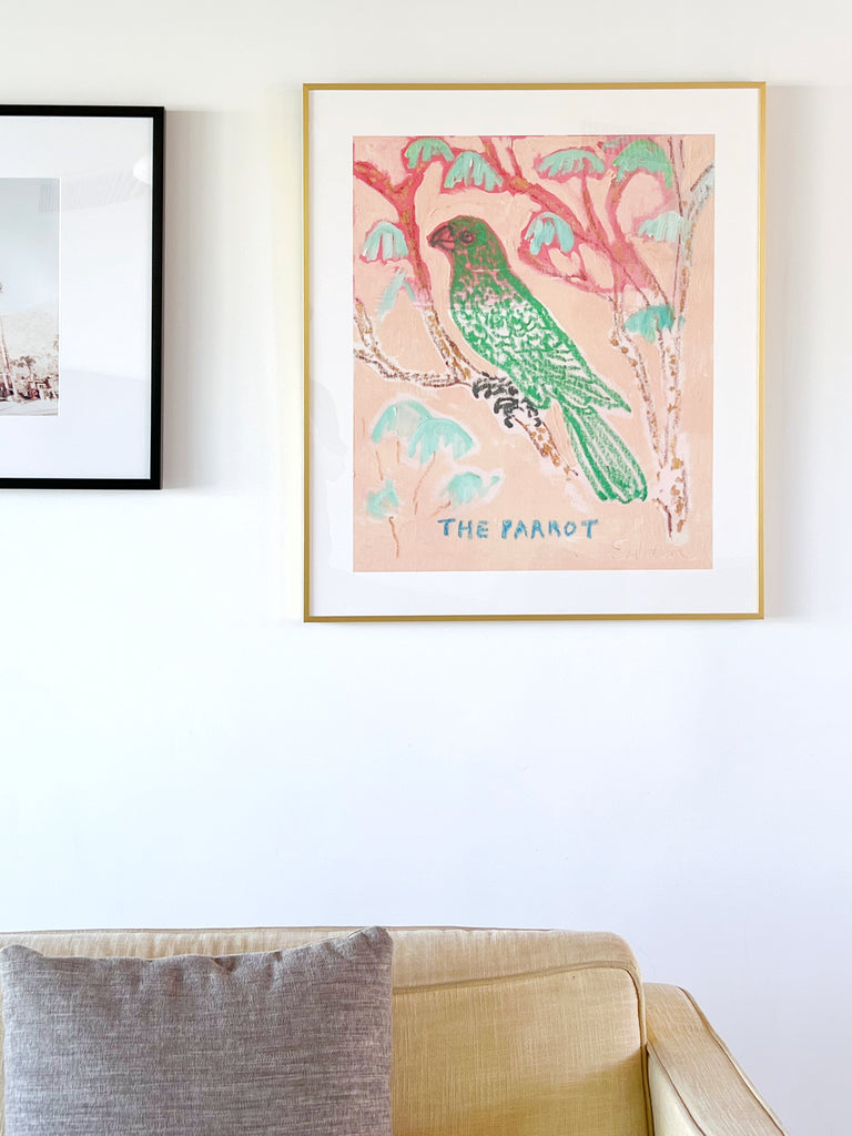 Framed Print // The Parrot
